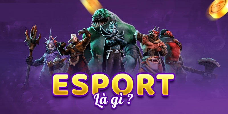 Esports - Bức Tranh Tổng Thể Về Loại Hình Thể Thao Điện Tử 